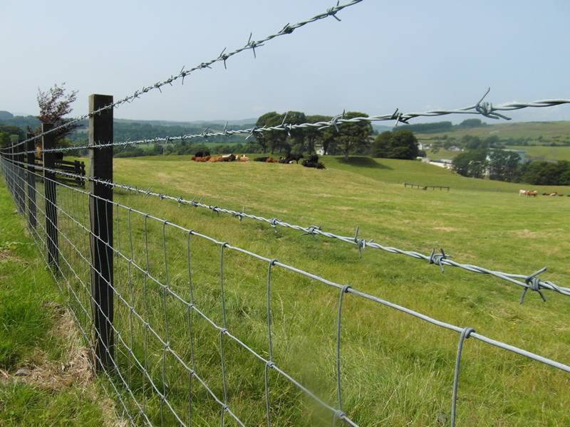 Barbed Wire Fence Vandalism Prevention