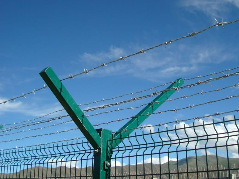 Perimeter Security Barbed Wire